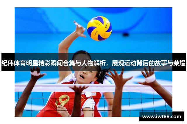 纪伟体育明星精彩瞬间合集与人物解析，展现运动背后的故事与荣耀